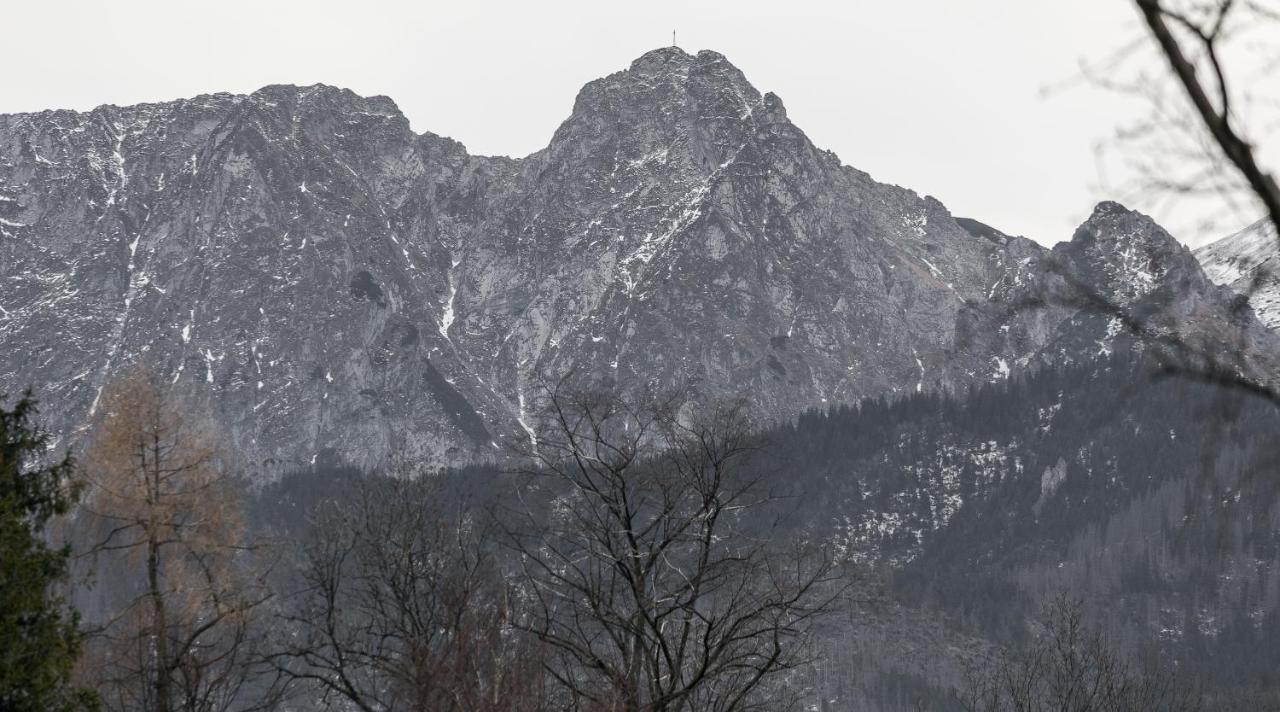 Twoja Chata Apartamenty Pod Niebem Zarezerwuj Na Podhalami Pl Kościelisko Exteriör bild